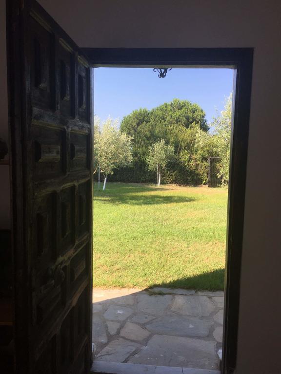 White Sand Villa Koviou Beach Nikiti Sithonia エクステリア 写真