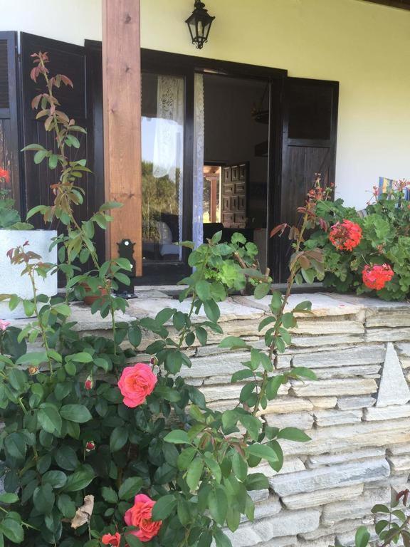 White Sand Villa Koviou Beach Nikiti Sithonia エクステリア 写真