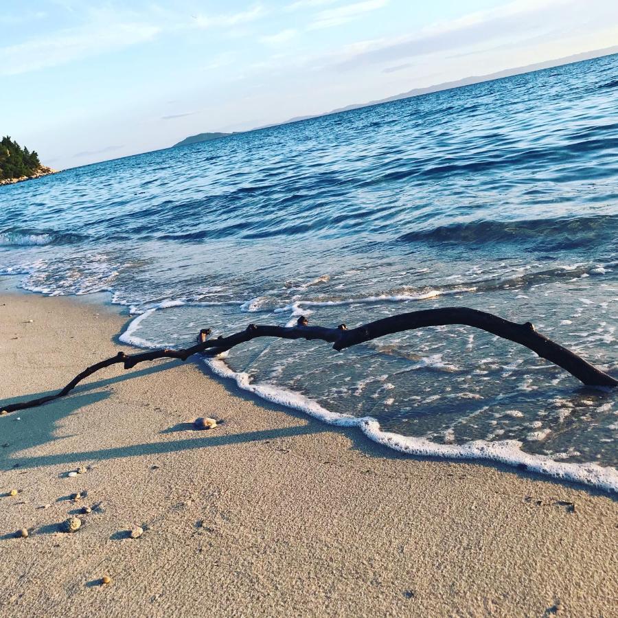 White Sand Villa Koviou Beach Nikiti Sithonia エクステリア 写真